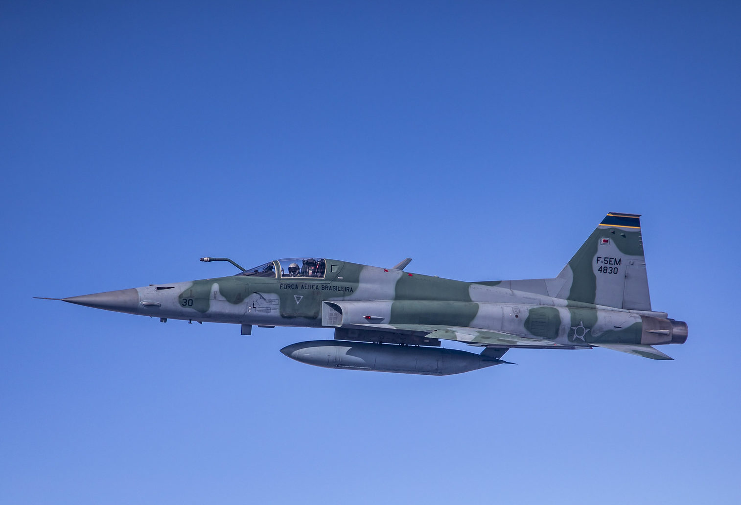 F-5EM FAB 4830 do 1º GAVCA se acidentou no dia 31 de maio (Foto: FAB). 