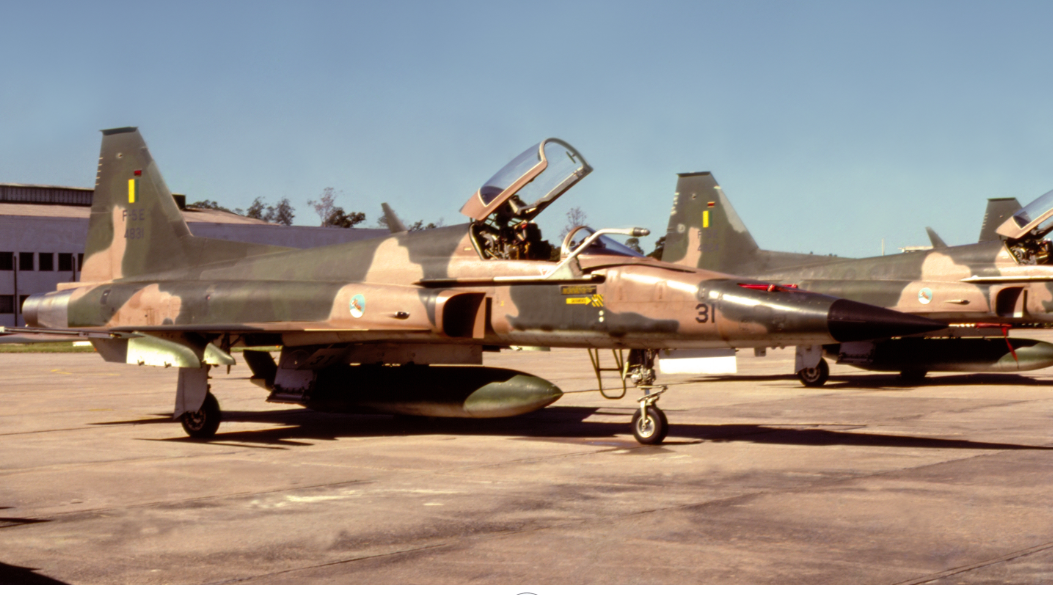 F-5E localizado accidentado en Lagoa dos Patos (RS) hace más de 40 años.  Imagen del FAB 4831 del 1°/14° GAV, perdido en accidente en Lagoa dos Patos (RS), el 28 de junio de 1982 (Foto: Vito Cedrini).